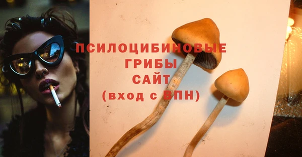 гидра Беломорск