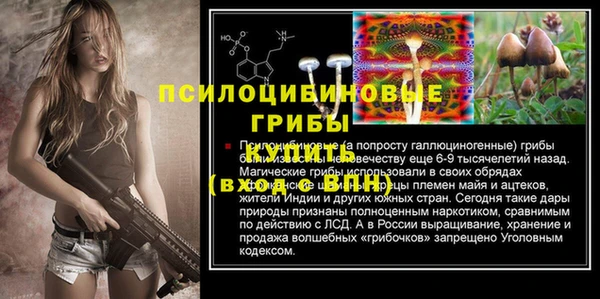 ешки Белоозёрский